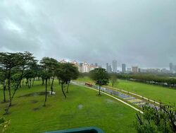 Parkshore (D15), Condominium #458440941